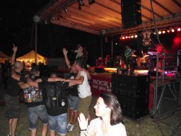 motoduck 2013_166